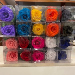 Rosas preservadas. Colores